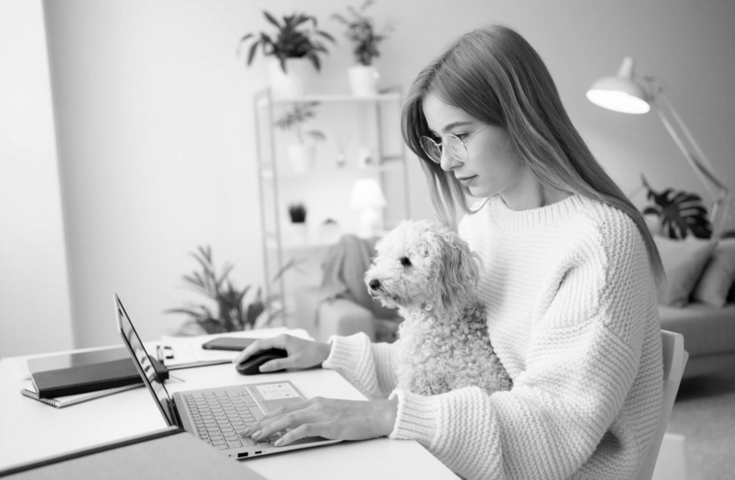 Análisis de datos SEO en pantalla